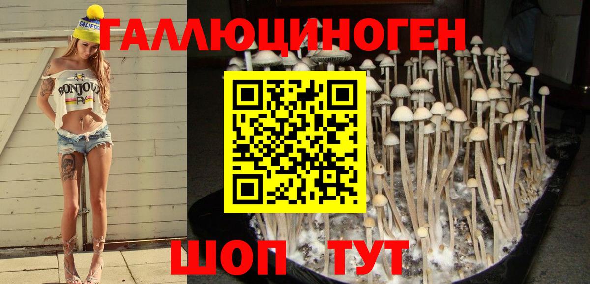 Заводоуковск  Галлюциногенные грибы мицелий  Вход с VPN 
