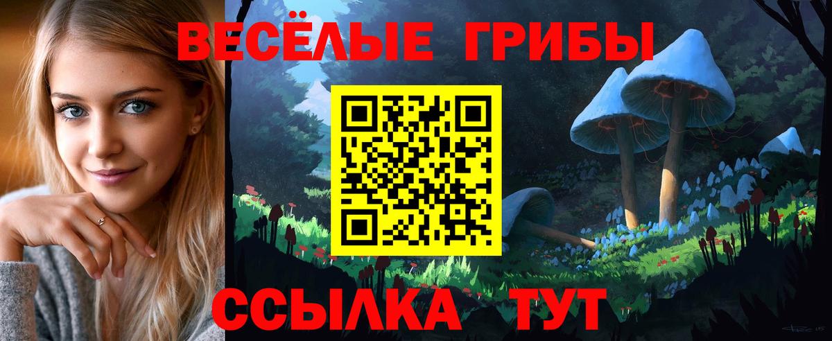 Галлюциногенные грибы прущие грибы Заводоуковск